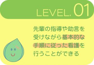 渡辺病院看護部の専門職としての能力開発レベル1